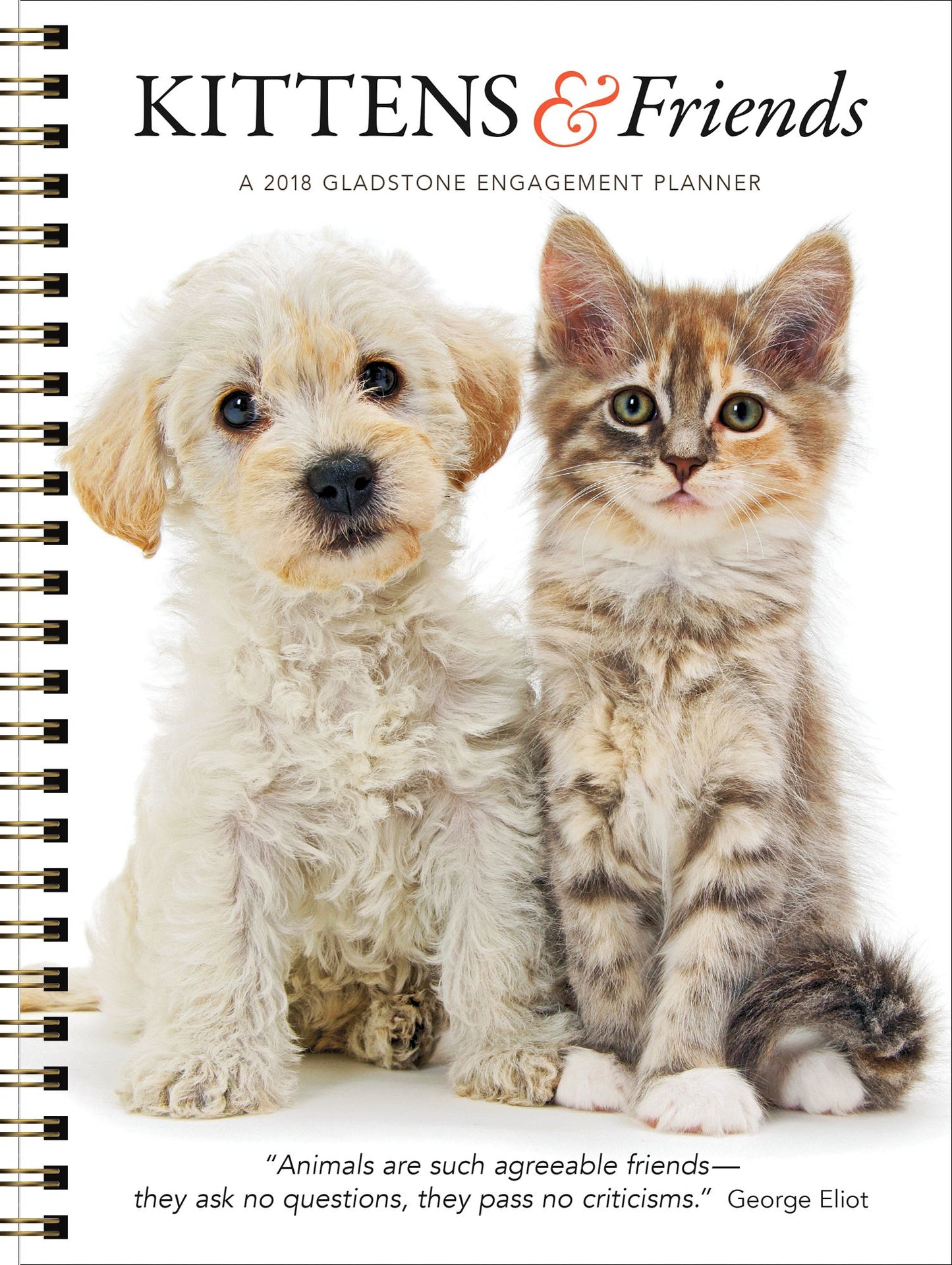 2018 Kittens & Friends Engagement Planner