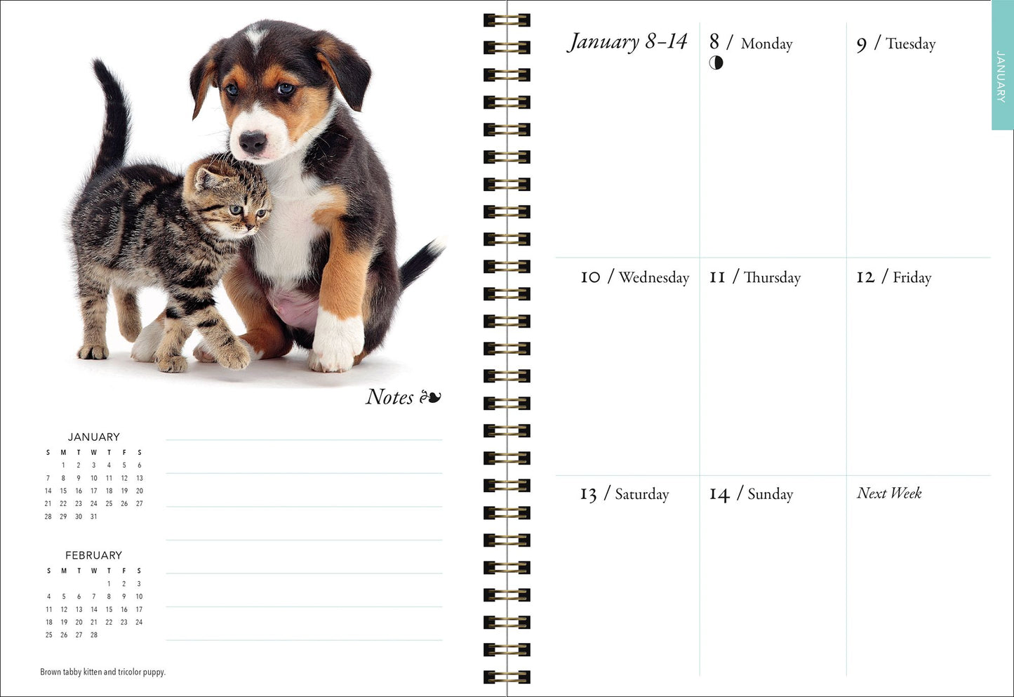 2018 Kittens & Friends Engagement Planner