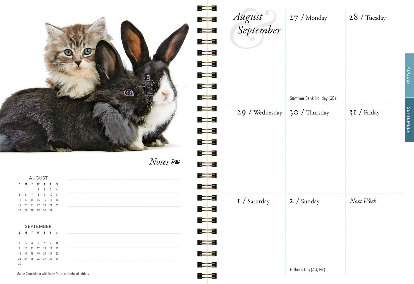 2018 Kittens & Friends Engagement Planner