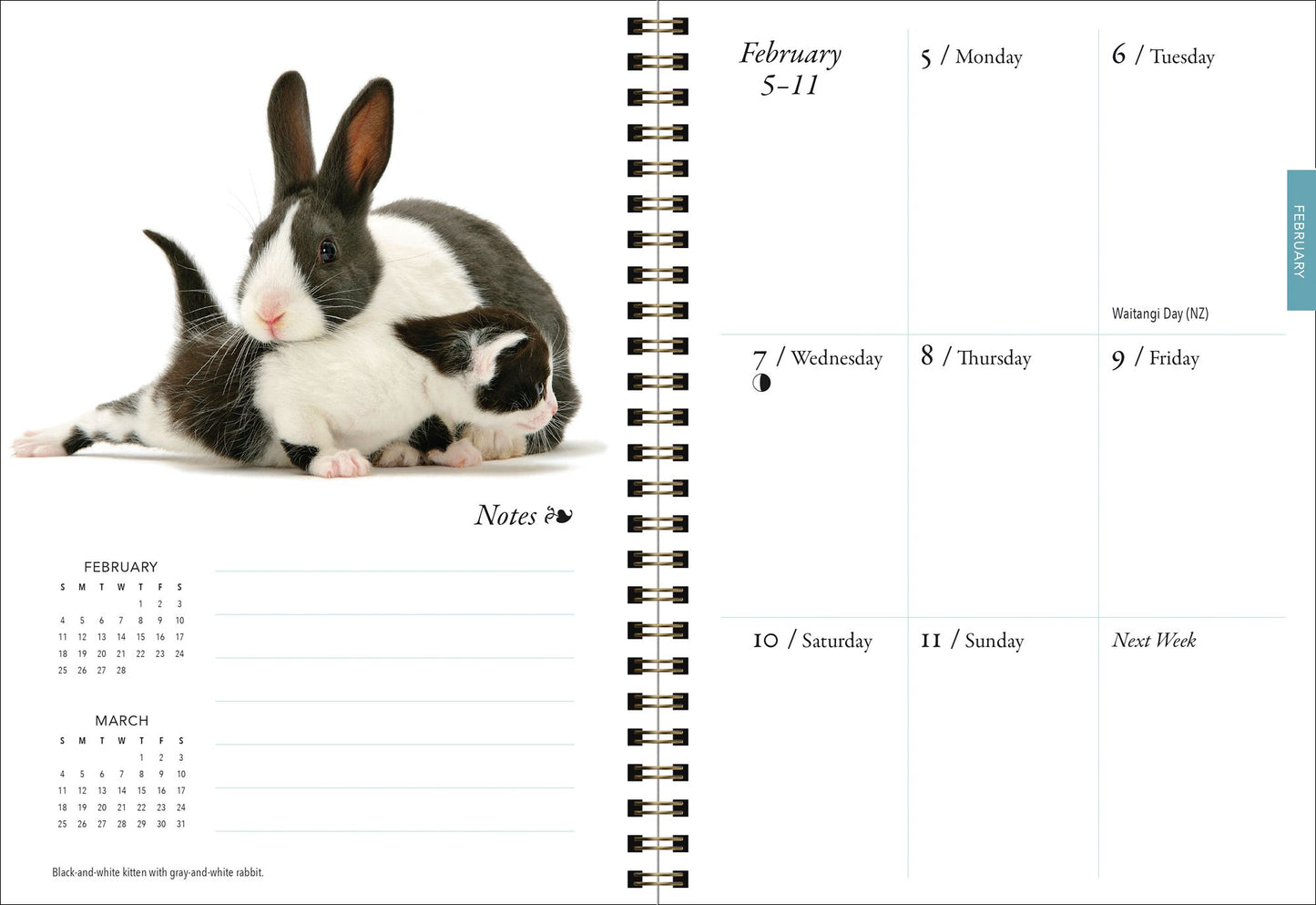 2018 Kittens & Friends Engagement Planner
