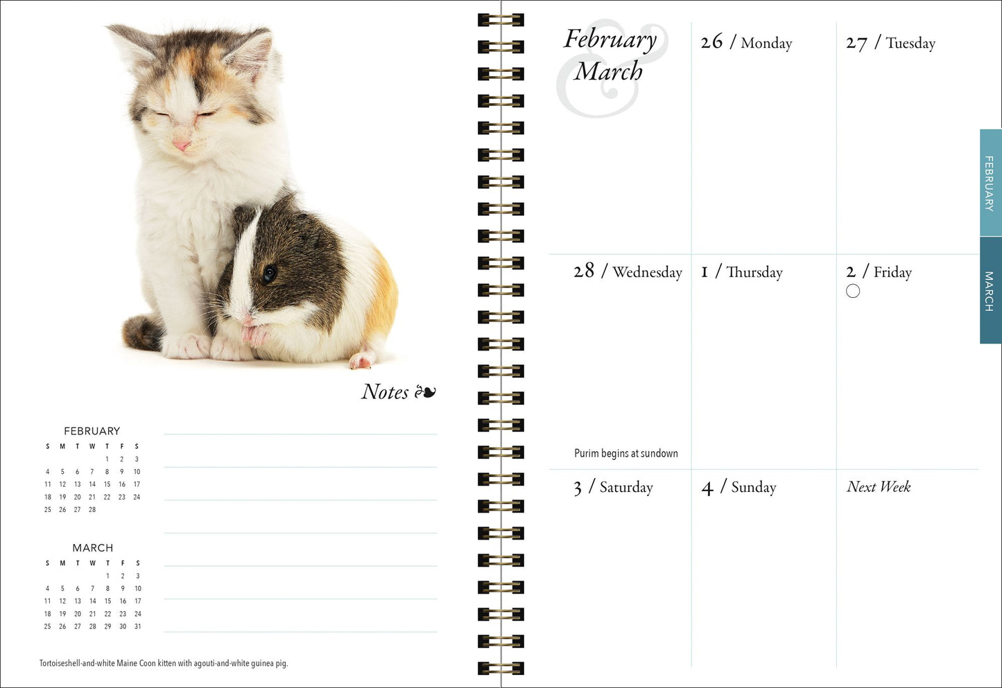 2018 Kittens & Friends Engagement Planner