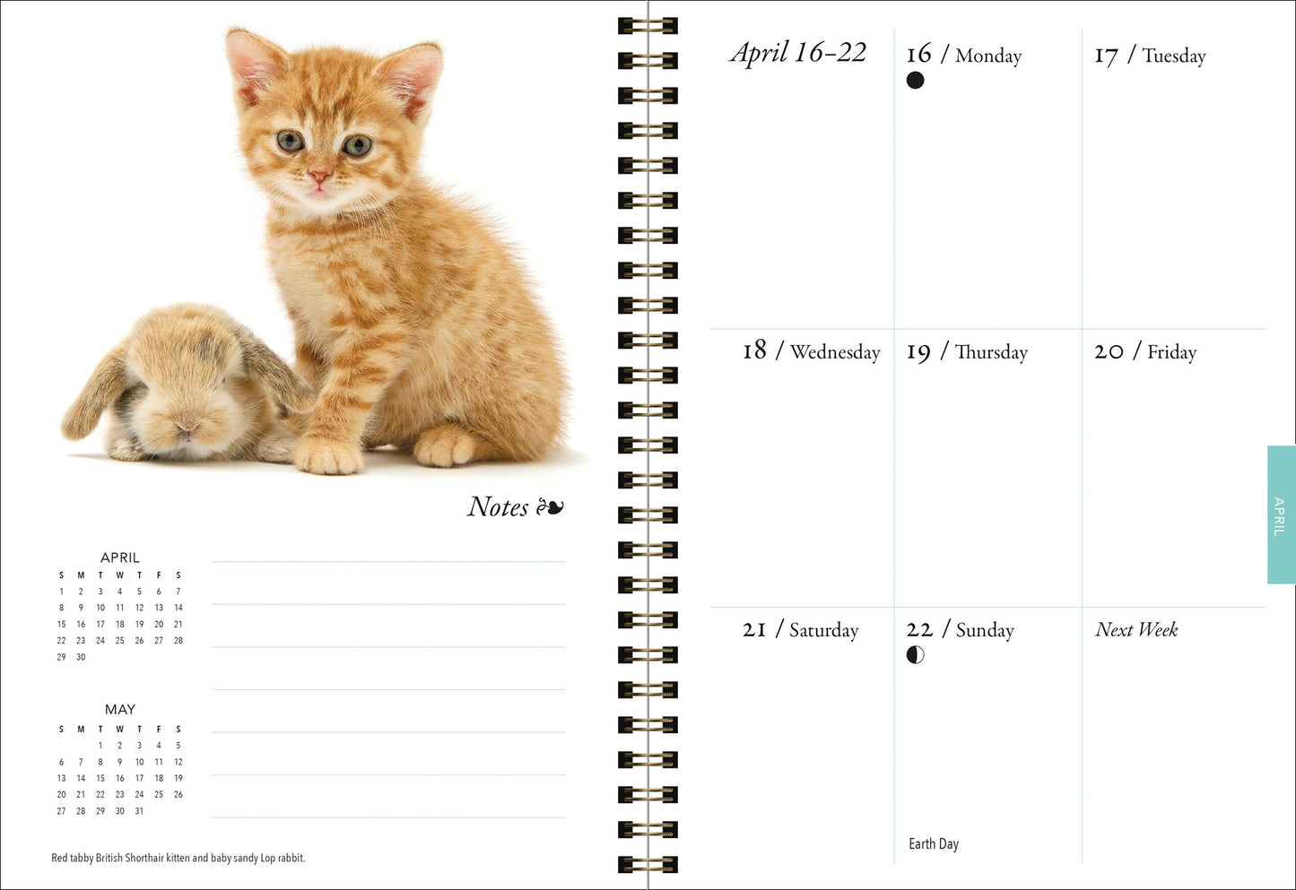 2018 Kittens & Friends Engagement Planner