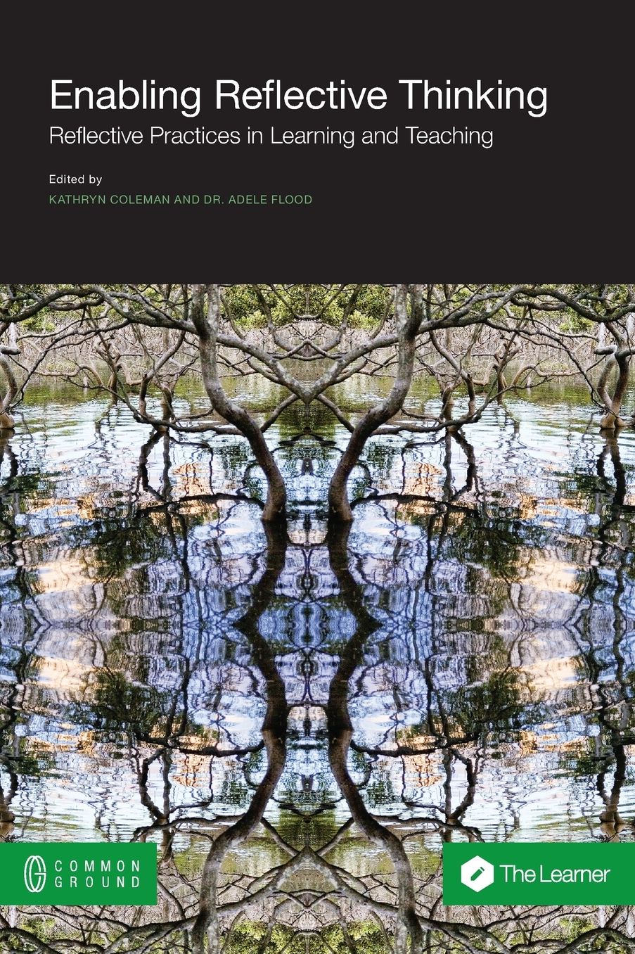 Enabling Reflective Thinking: Reflective Practice in Learning and Teaching