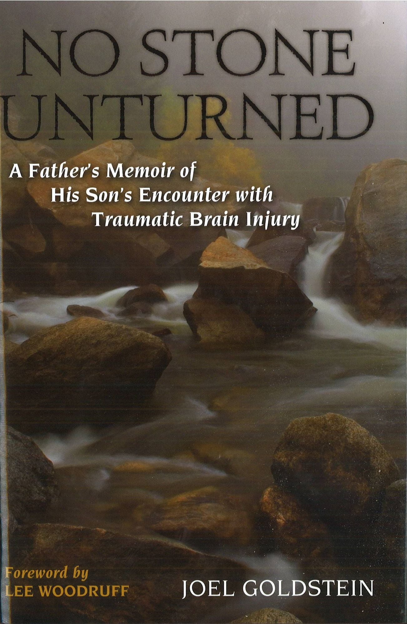 No Stone Unturned: A Father's Memoir of His Son's Encounter with Traumatic Brain Injury