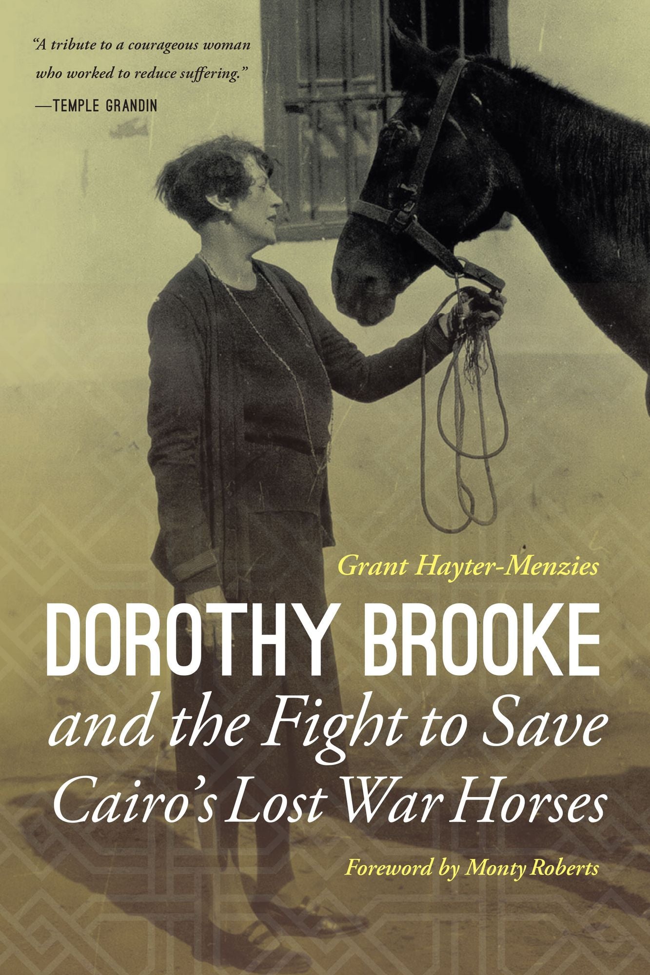 Dorothy Brooke and the Fight to Save Cairo's Lost War Horses