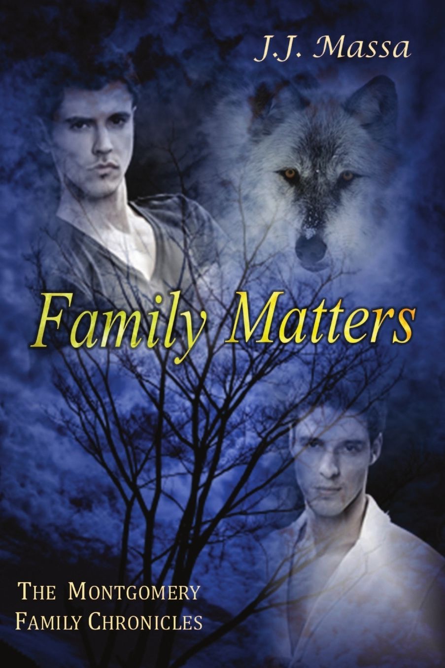 The Montgomery Family Chronicles 4: Family Matters