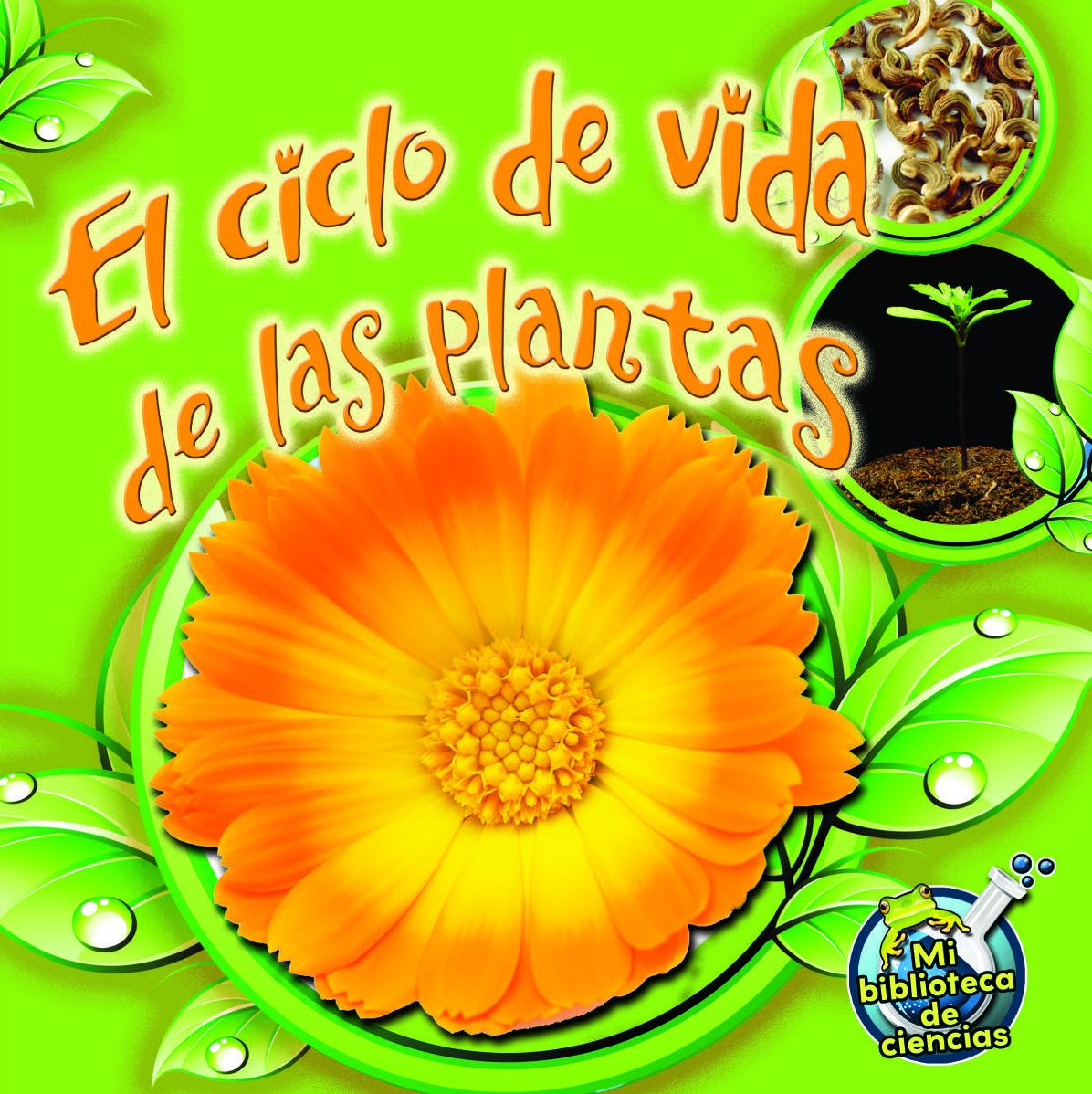 El Ciclo de Vida de Las Plantas: Plant Life Cycles