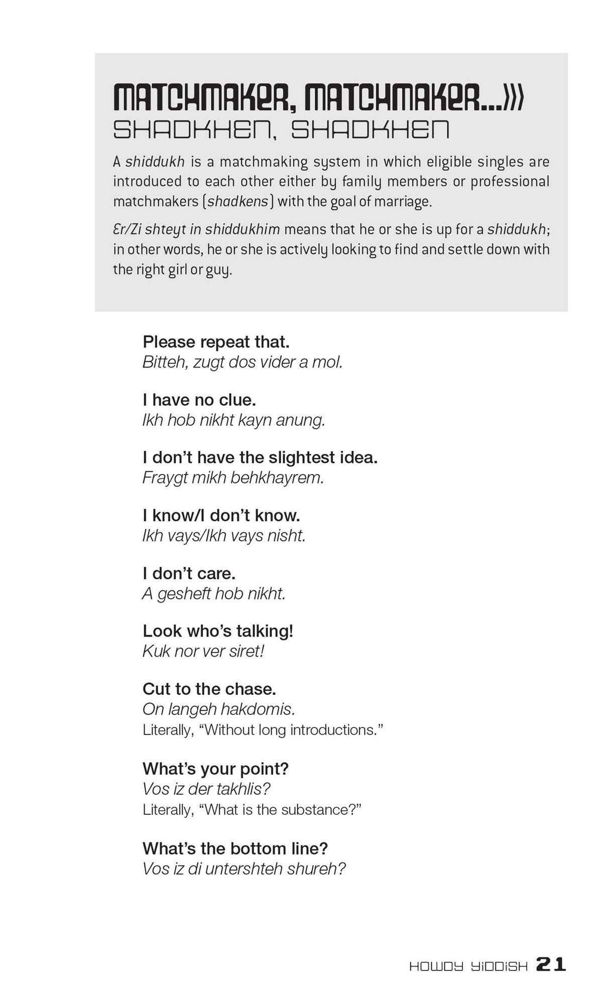 Dirty Yiddish: Everyday Slang from "What's Up?" to "F*%# Off!"