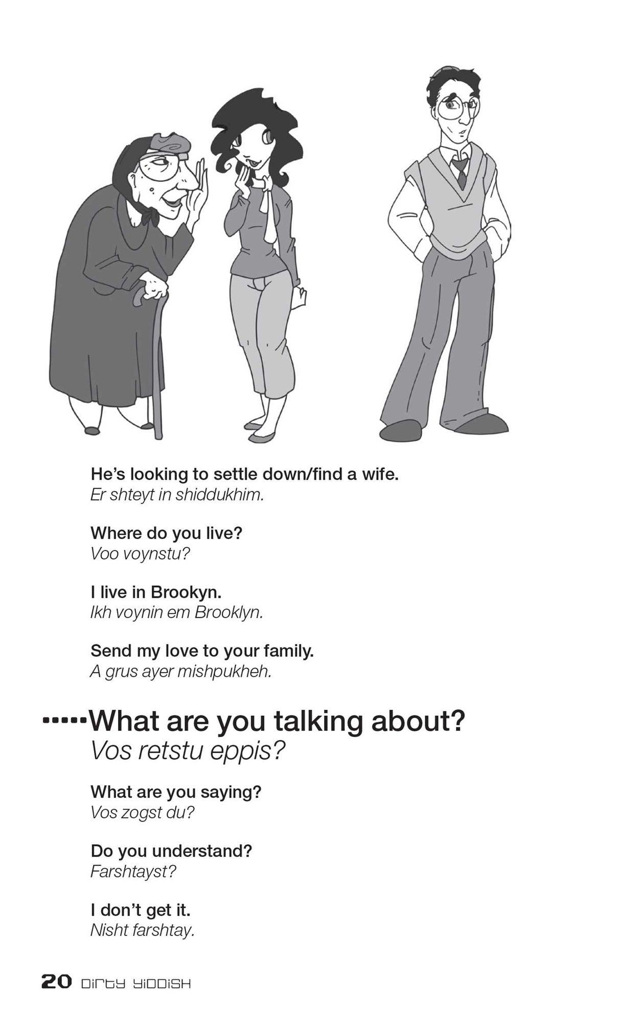 Dirty Yiddish: Everyday Slang from "What's Up?" to "F*%# Off!"