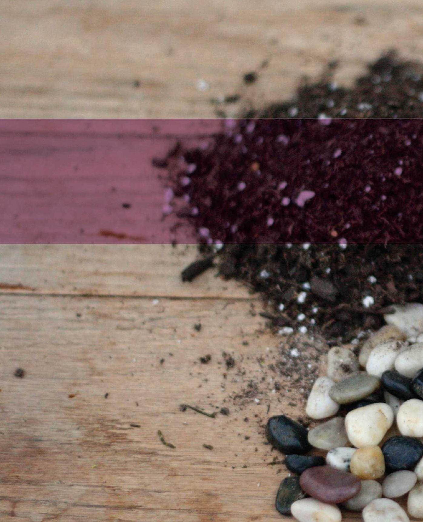 Terrariums Reimagined: Mini Worlds Made in Creative Containers