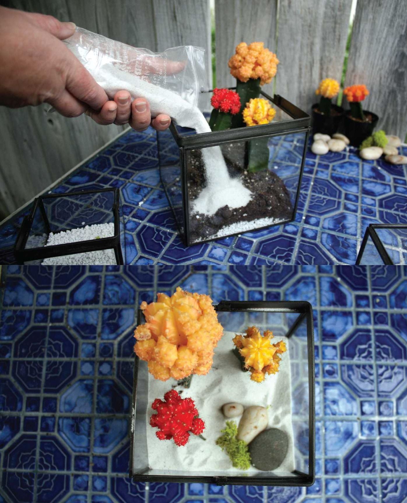 Terrariums Reimagined: Mini Worlds Made in Creative Containers