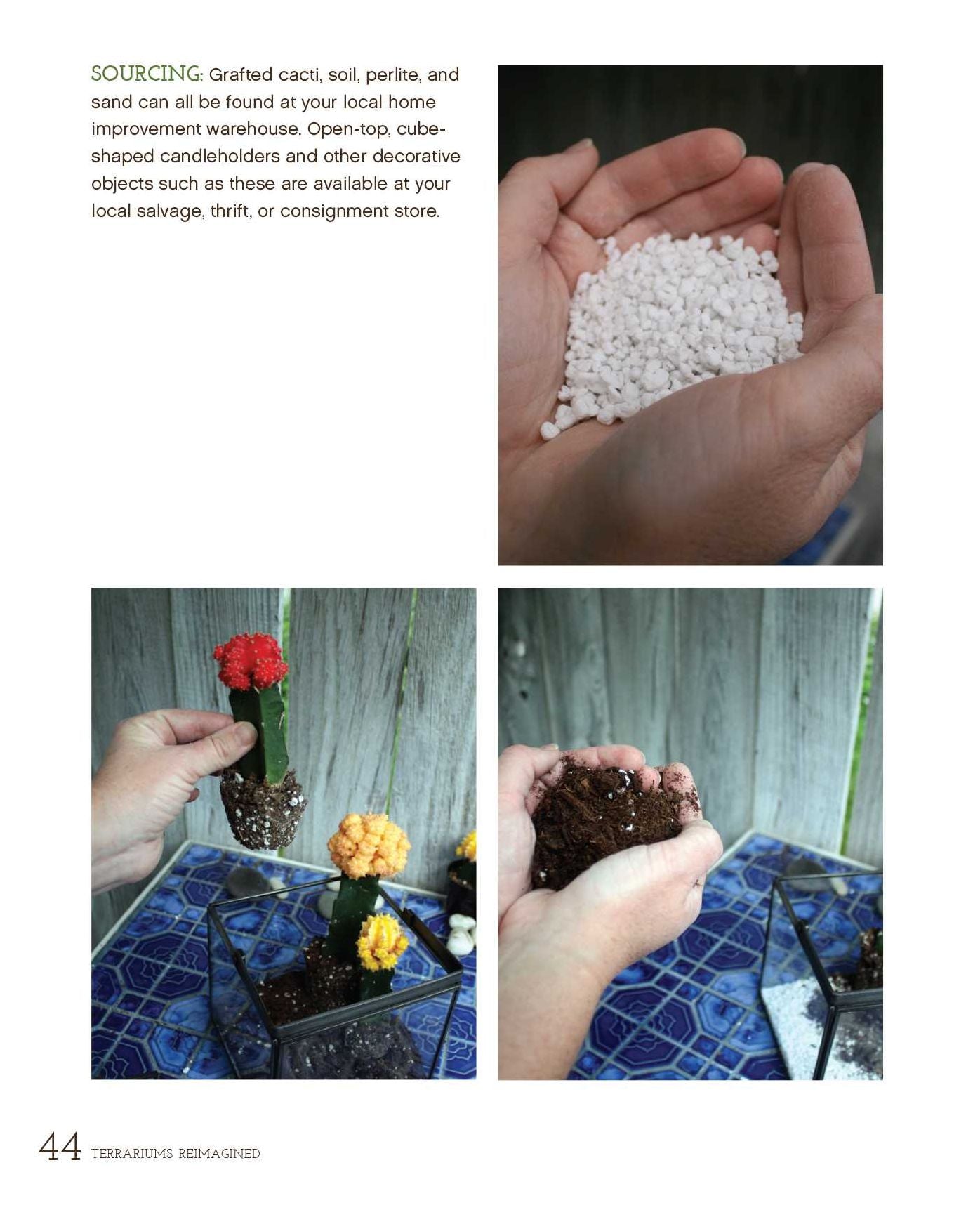 Terrariums Reimagined: Mini Worlds Made in Creative Containers