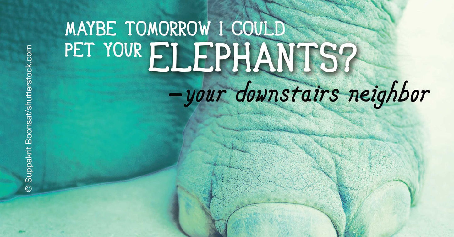Seriously?!: Passive Aggressive Cards