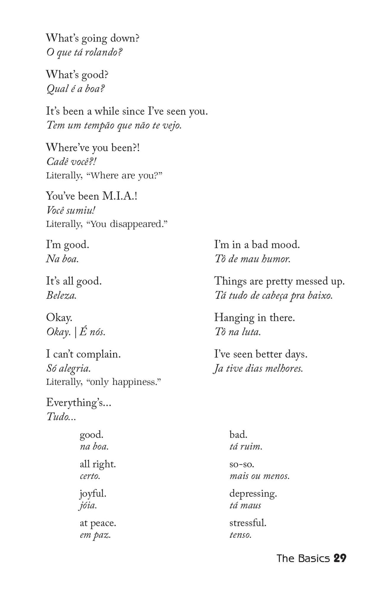 Party Brazil Phrasebook 2014: Slang, Music, Fun and Futebol