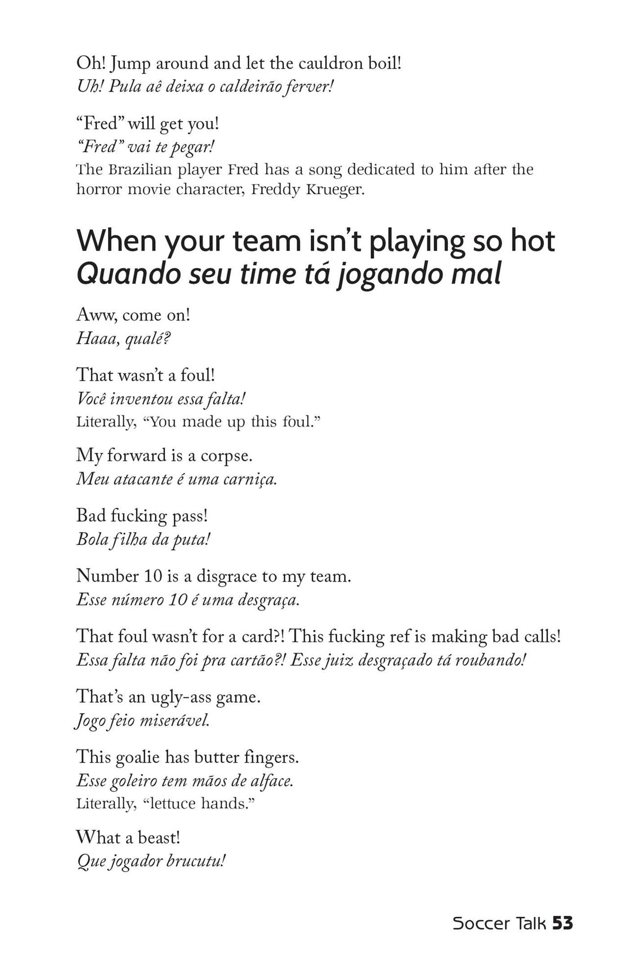 Party Brazil Phrasebook 2014: Slang, Music, Fun and Futebol