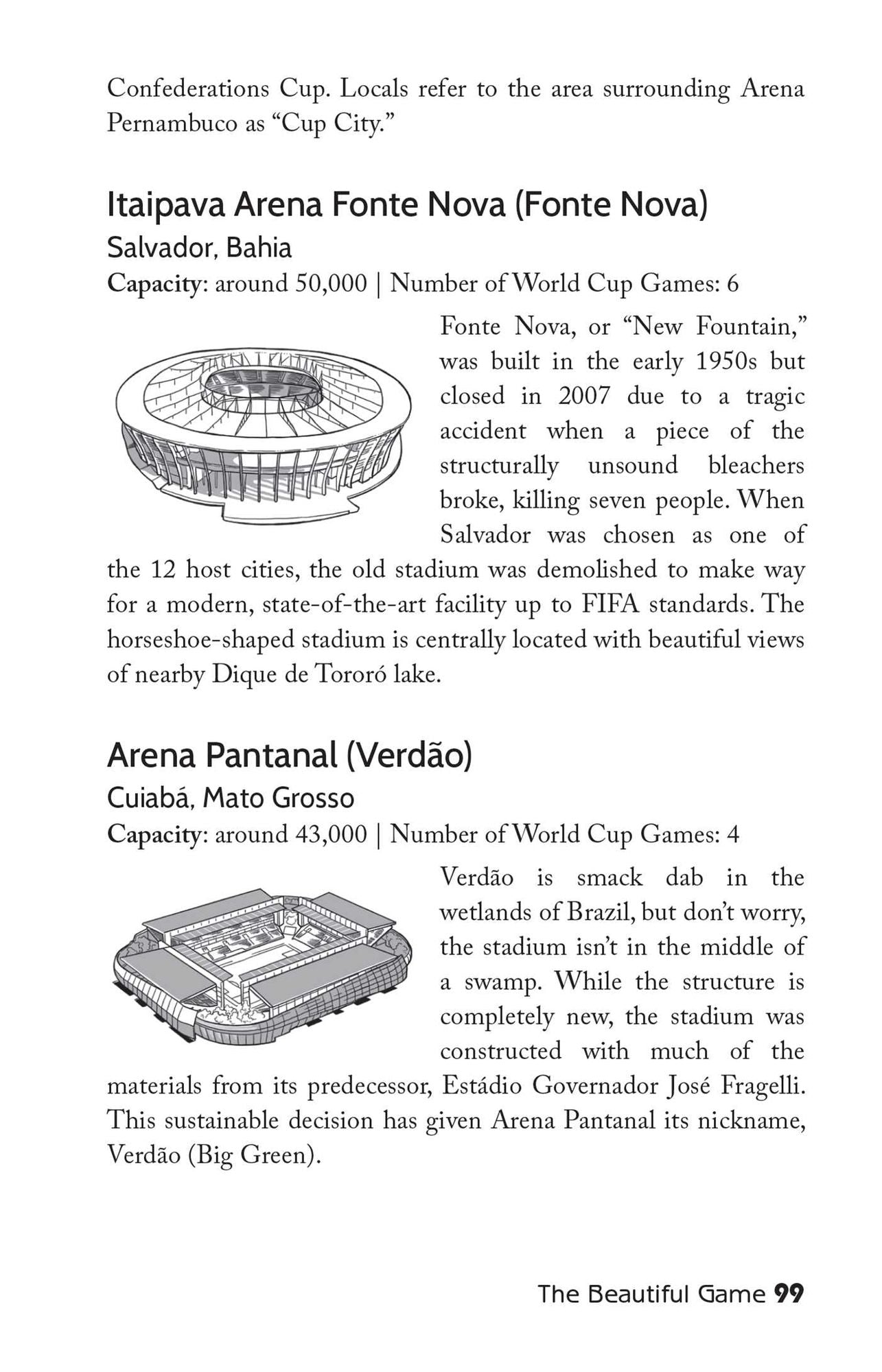 Party Brazil Phrasebook 2014: Slang, Music, Fun and Futebol