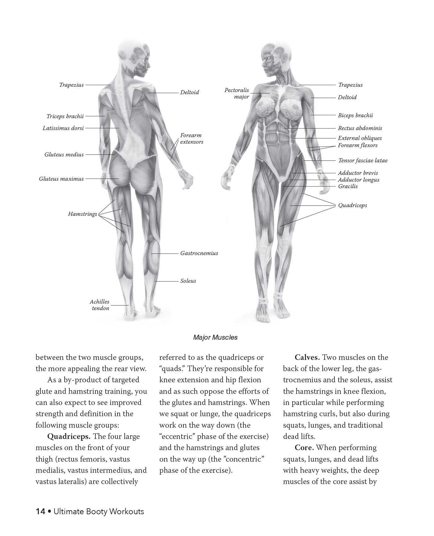 Ultimate Booty Workouts: Exercises to Build, Lift and Sculpt an Amazing Butt