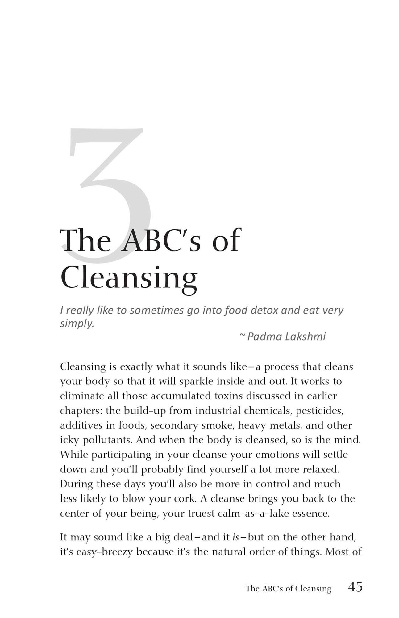 The 2-Day Superfood Cleanse: A Weekly Detox Program to Boost Energy, Lose Weight and Maintain Optimal Health