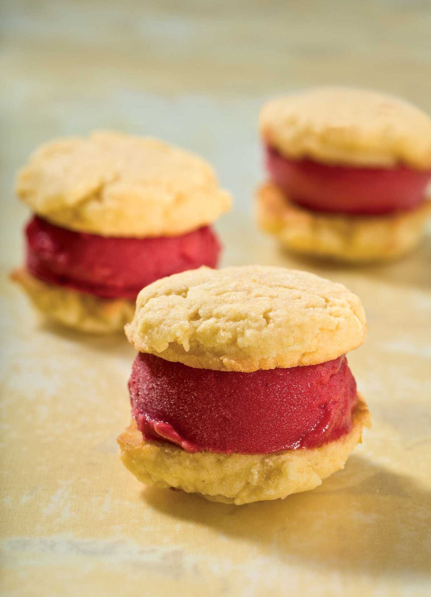 Vegan Ice Cream Sandwiches: Cool Recipes for Delicious Dairy-Free Ice Creams and Cookies