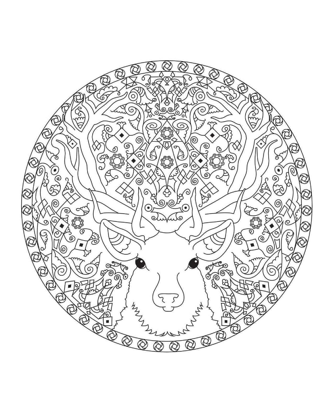 Coloring Animal Mandalas