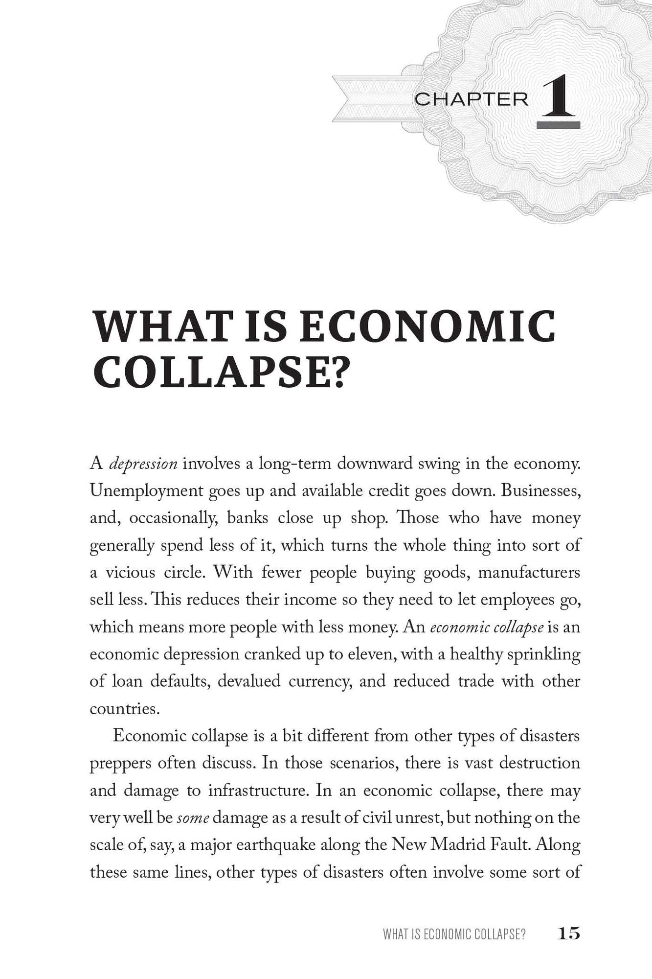 The Prepper's Financial Guide: Strategies to Invest, Stockpile and Build Security for Today and the Post-Collapse Marketplace