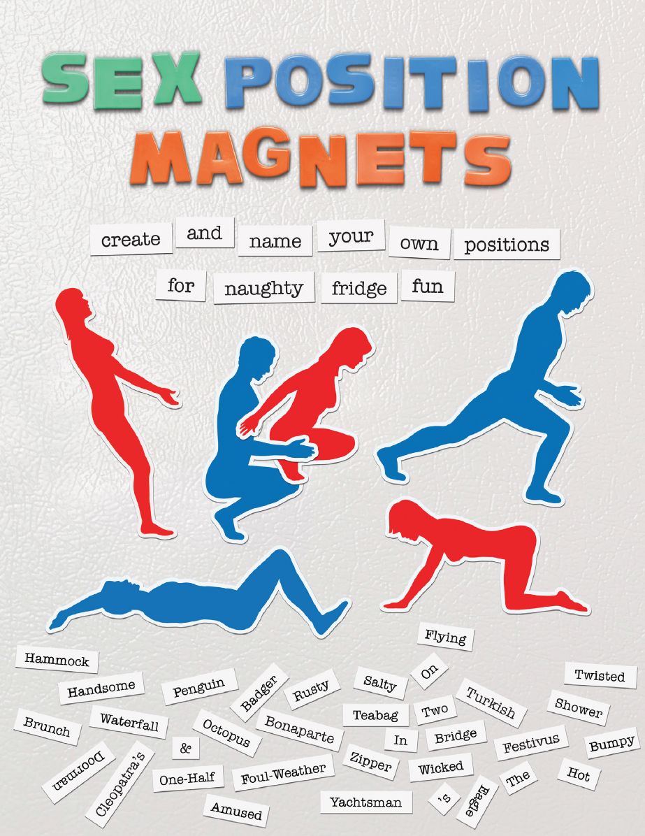 Sex Position Magnets: Create and Name Your Own Positions for Naughty Fridge Fun