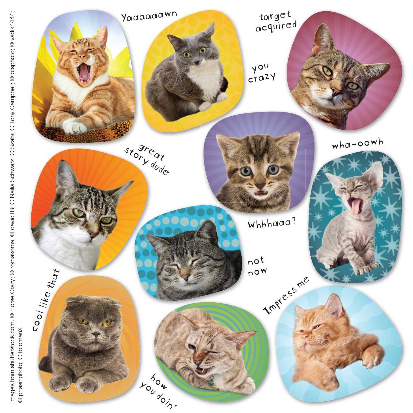 Emoticat Stickers: 200 Ways to Say it with Kitties