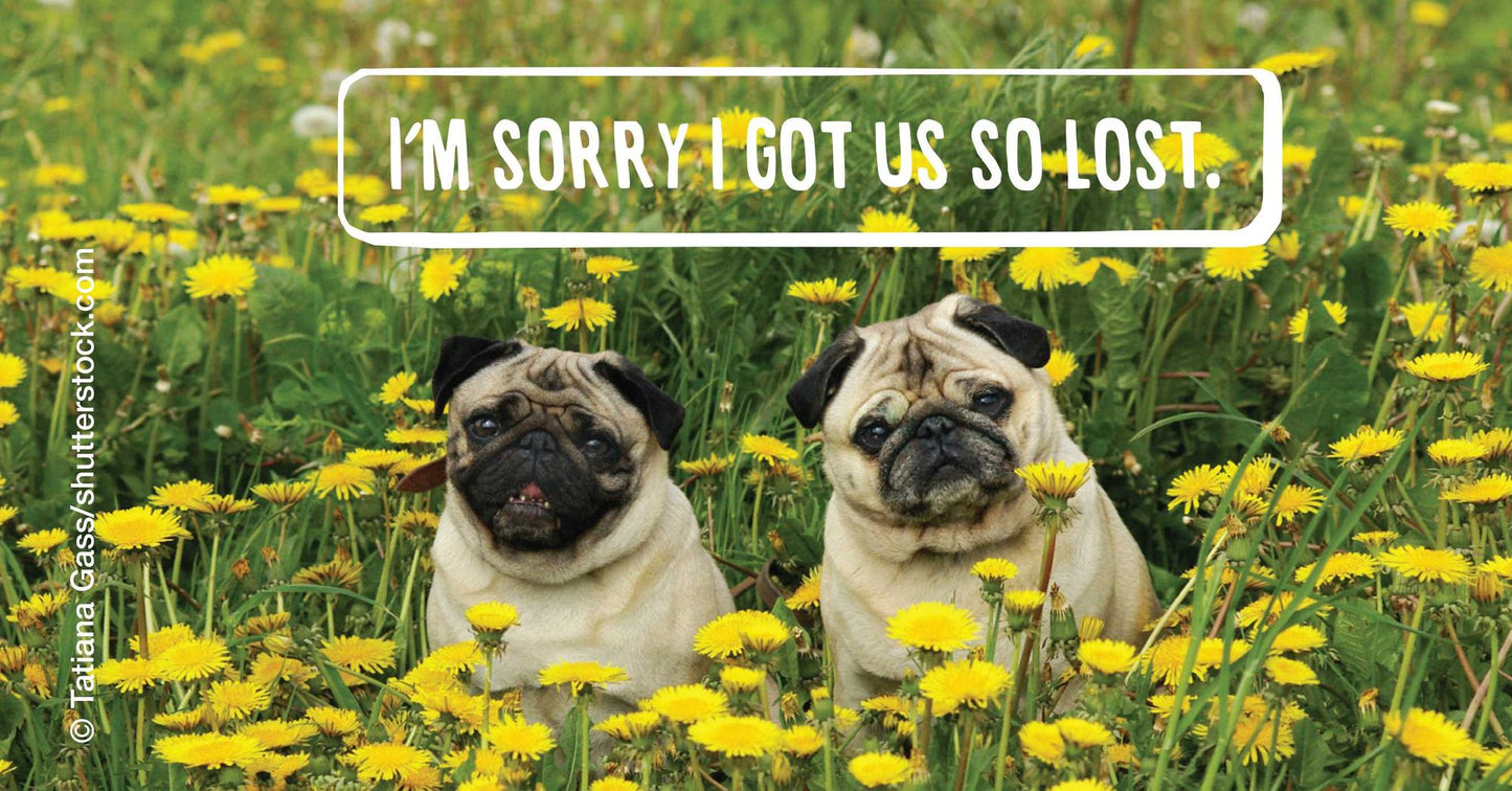 Apuglogies: Saying Sorry with Adorable Pugs
