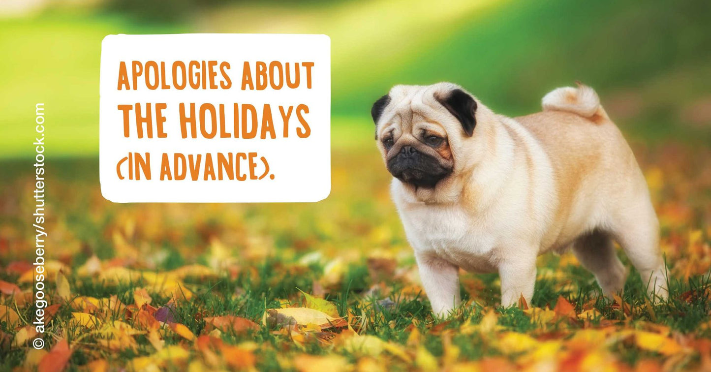 Apuglogies: Saying Sorry with Adorable Pugs
