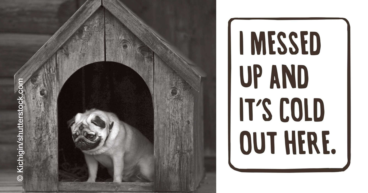 Apuglogies: Saying Sorry with Adorable Pugs