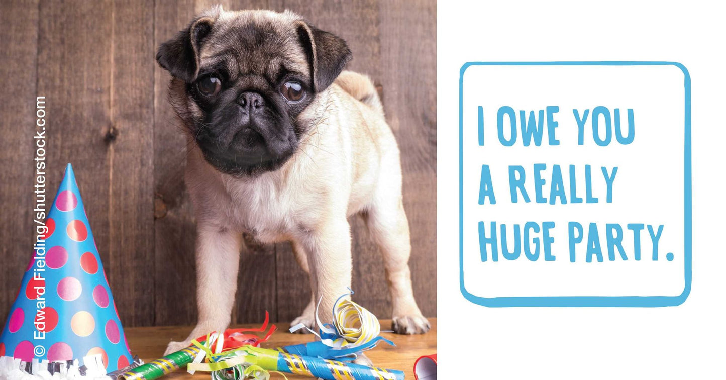 Apuglogies: Saying Sorry with Adorable Pugs