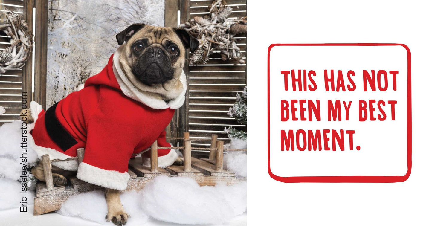 Apuglogies: Saying Sorry with Adorable Pugs