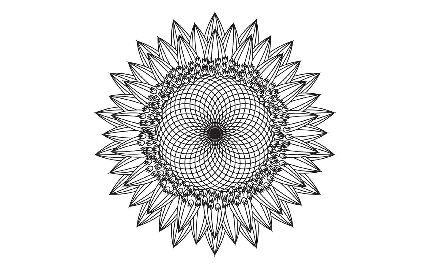 Coloring Flower Mandala Postcards: 20 Hand-Drawn Designs for Mindful Relaxation