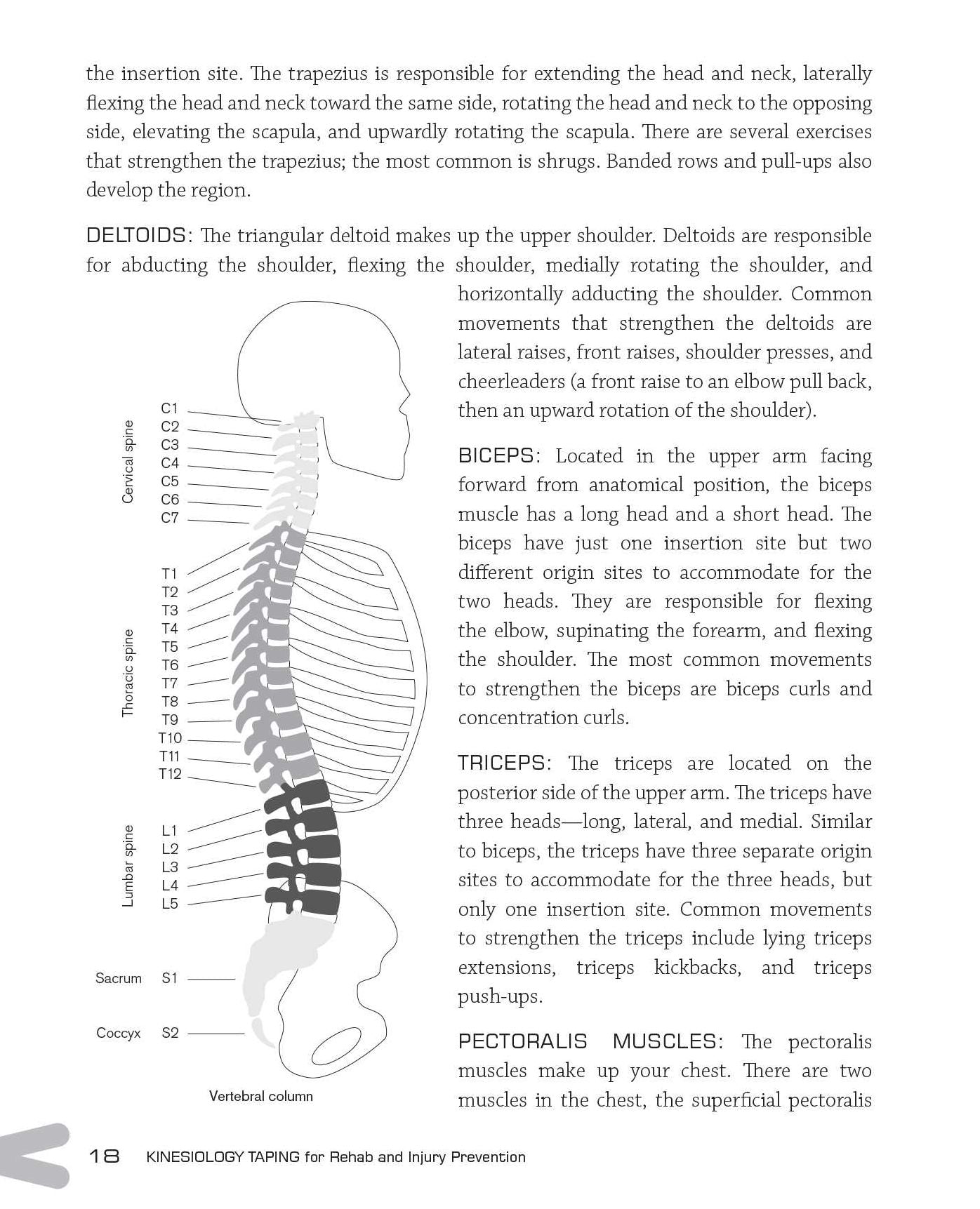 Kinesiology Taping for Rehab and Injury Prevention: An Easy, At-Home Guide for Overcoming Common Strains, Pains and Conditions