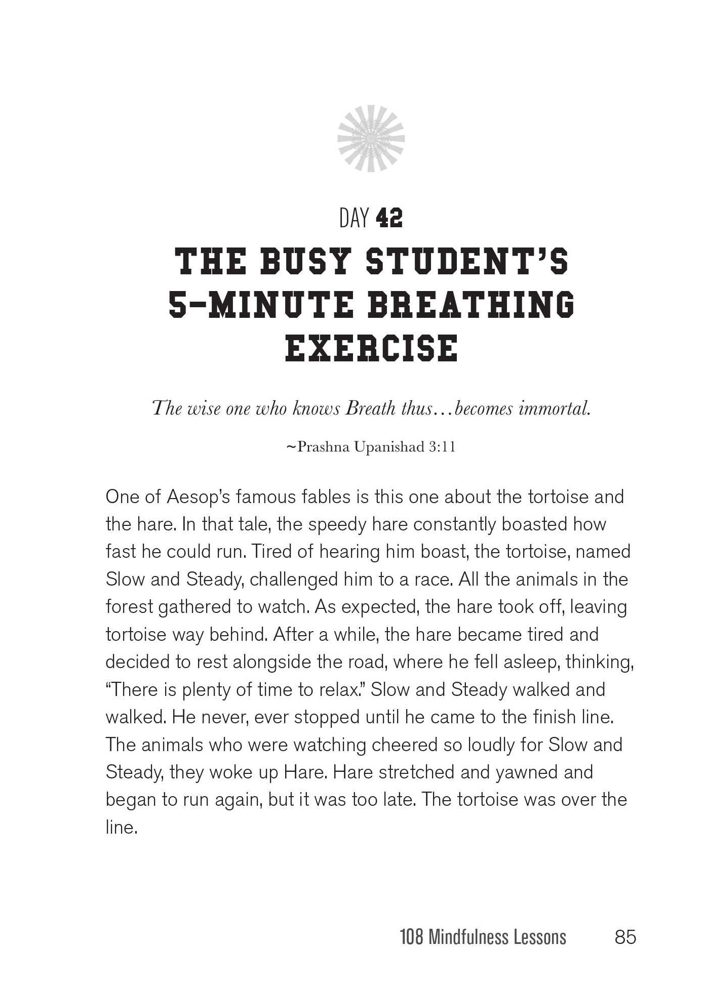 Buddha U: 108 Mindfulness Lessons for Surviving Test Stress, Freshman 15, Friend Drama, Insane Roommates, Awkward Dates, Late Nights, Morning Lectures...and Other College Challenges