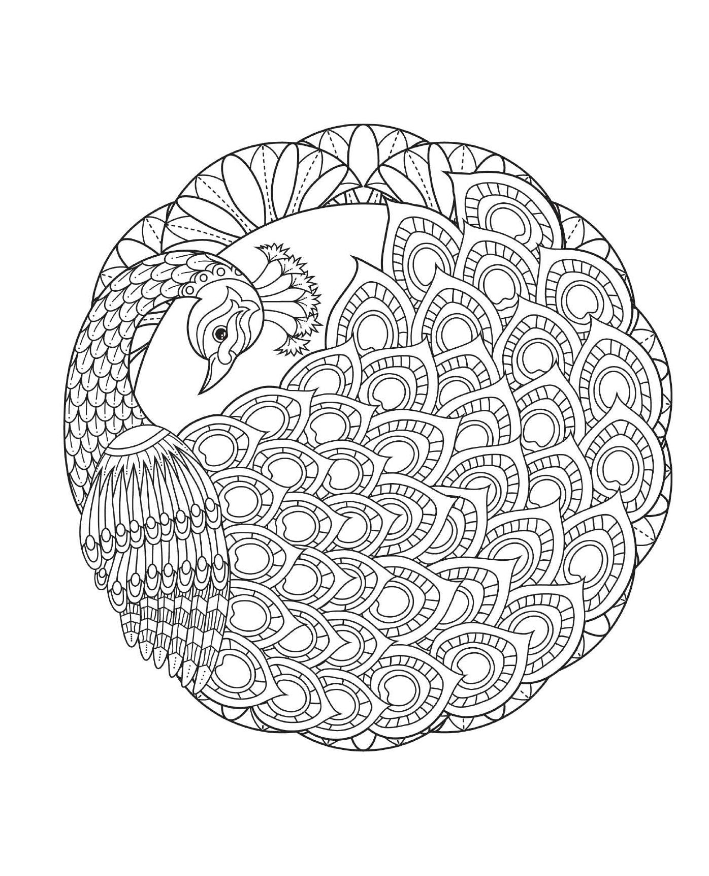 Coloring Bird Mandalas: 30 Hand-drawn Designs for Mindful Relaxation