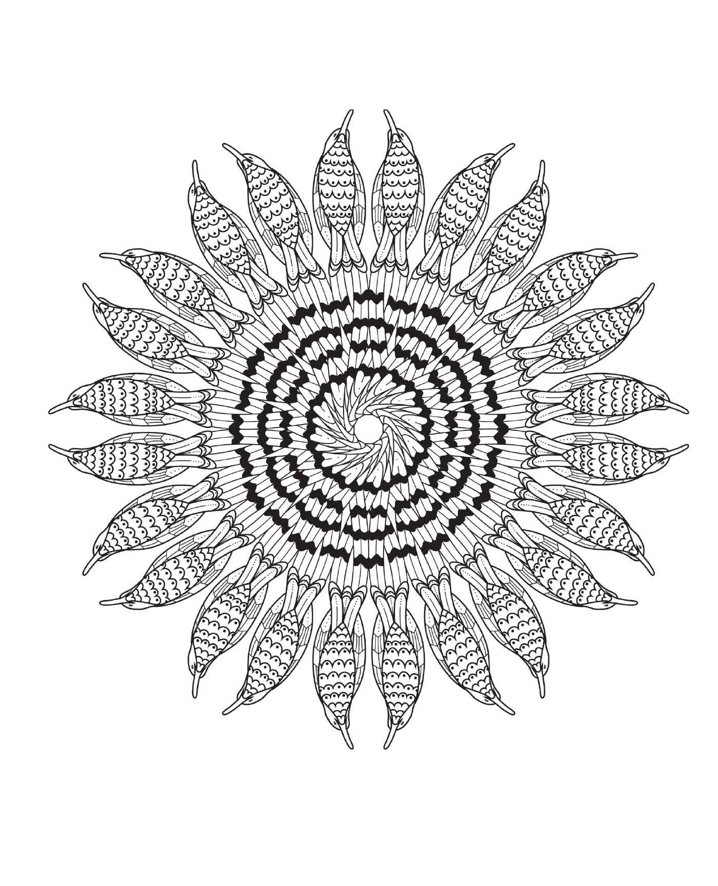 Coloring Bird Mandalas: 30 Hand-drawn Designs for Mindful Relaxation