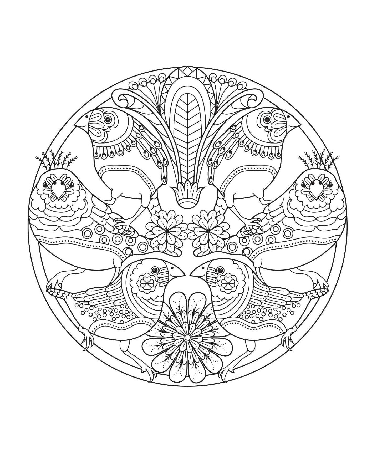 Coloring Bird Mandalas: 30 Hand-drawn Designs for Mindful Relaxation