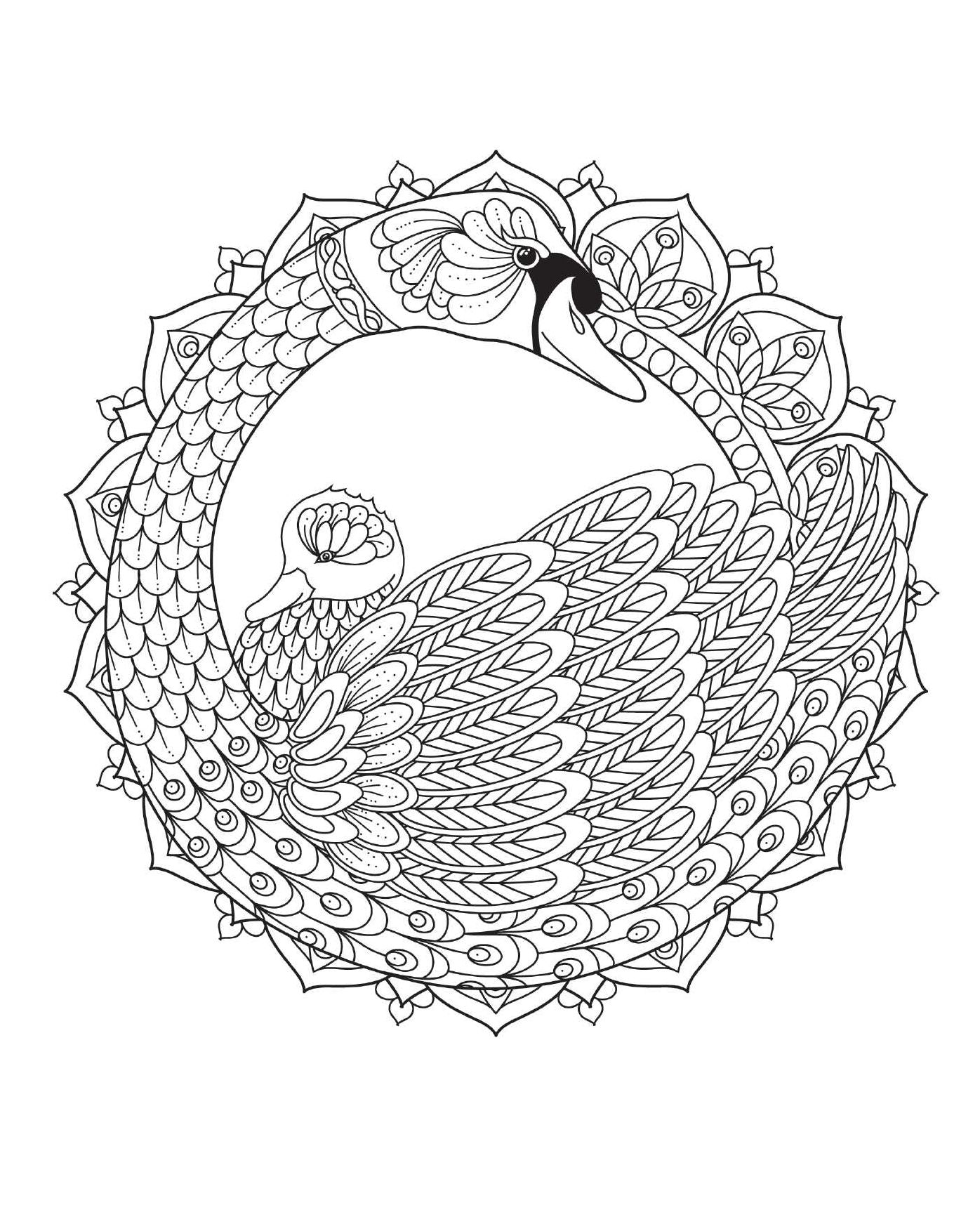 Coloring Bird Mandalas: 30 Hand-drawn Designs for Mindful Relaxation