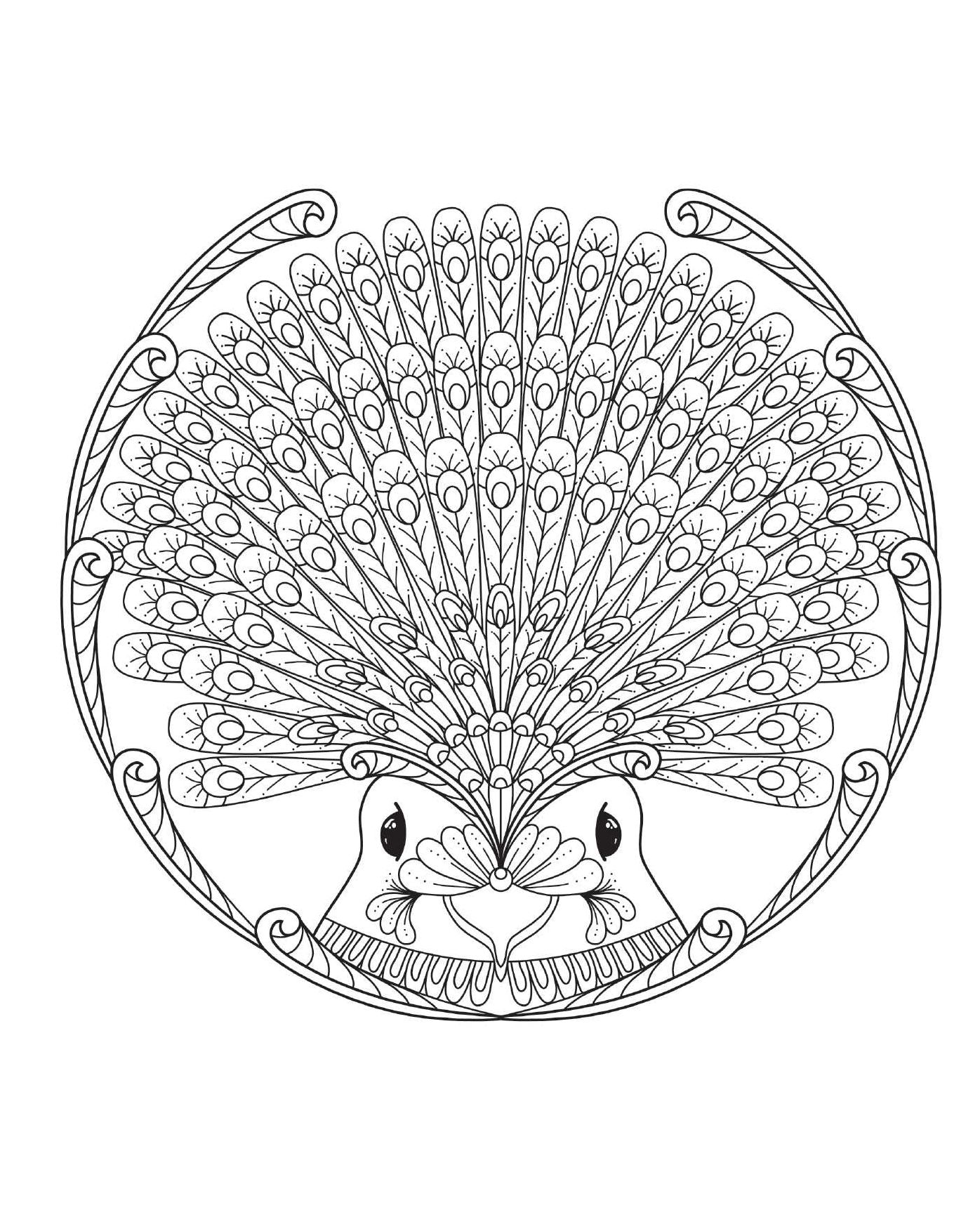 Coloring Bird Mandalas: 30 Hand-drawn Designs for Mindful Relaxation