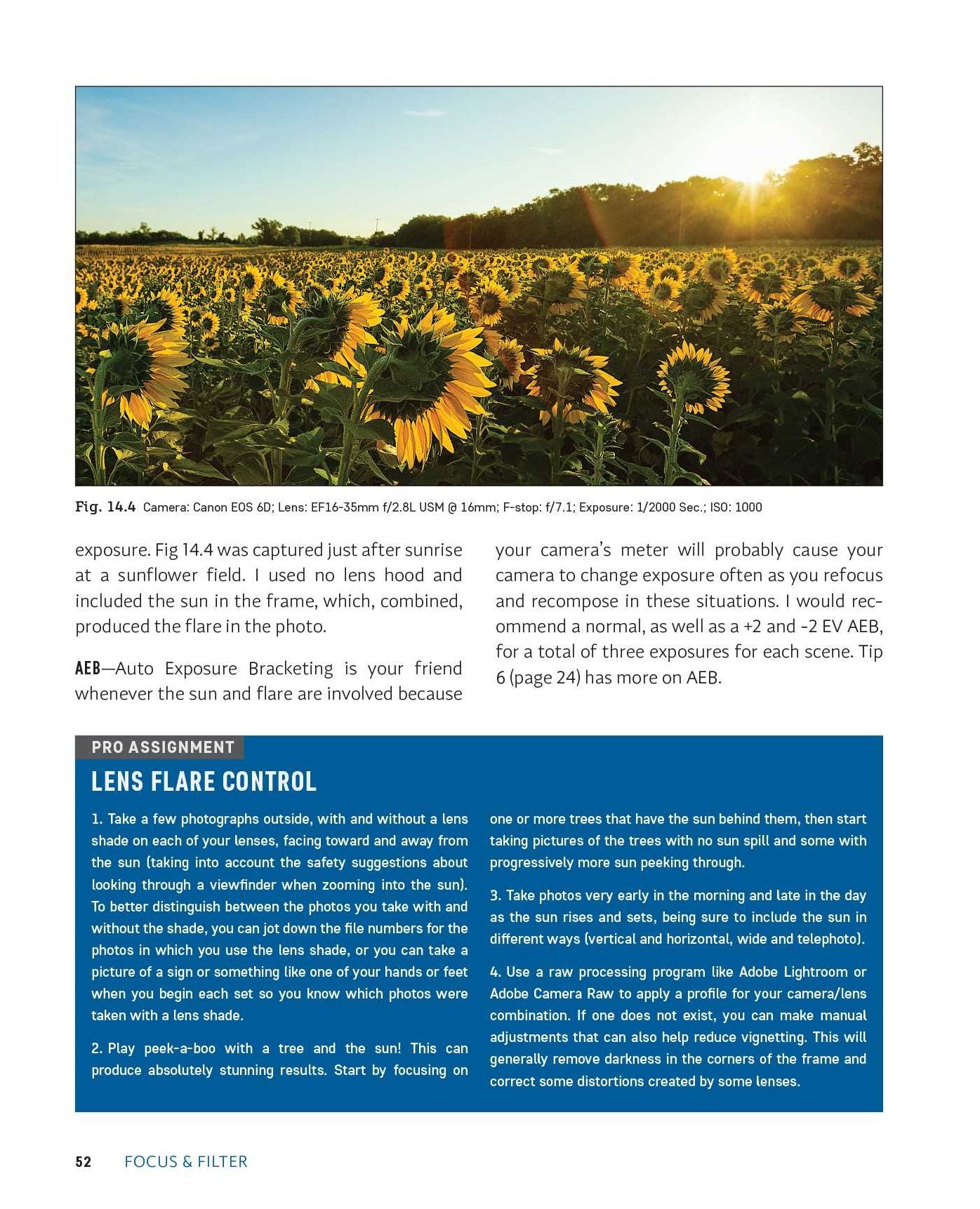 Focus and Filter: Professional Techniques for Mastering Digital Photography and Capturing the Perfect Shot
