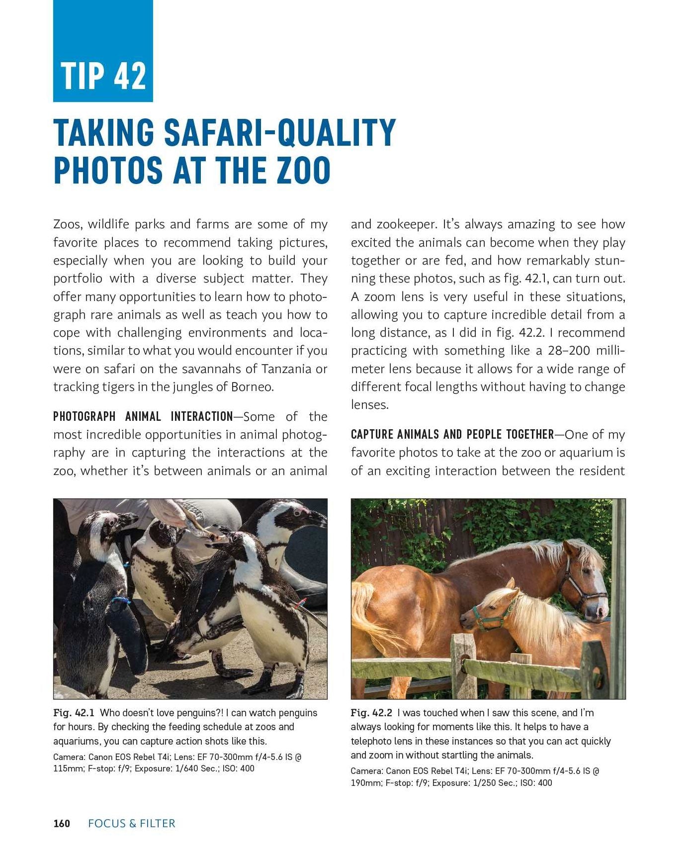Focus and Filter: Professional Techniques for Mastering Digital Photography and Capturing the Perfect Shot