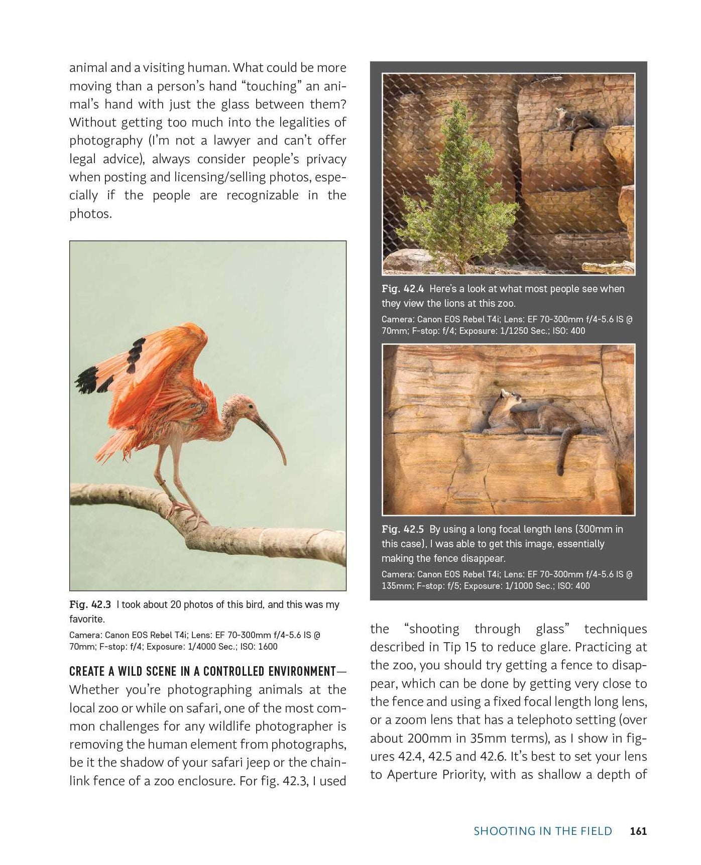 Focus and Filter: Professional Techniques for Mastering Digital Photography and Capturing the Perfect Shot