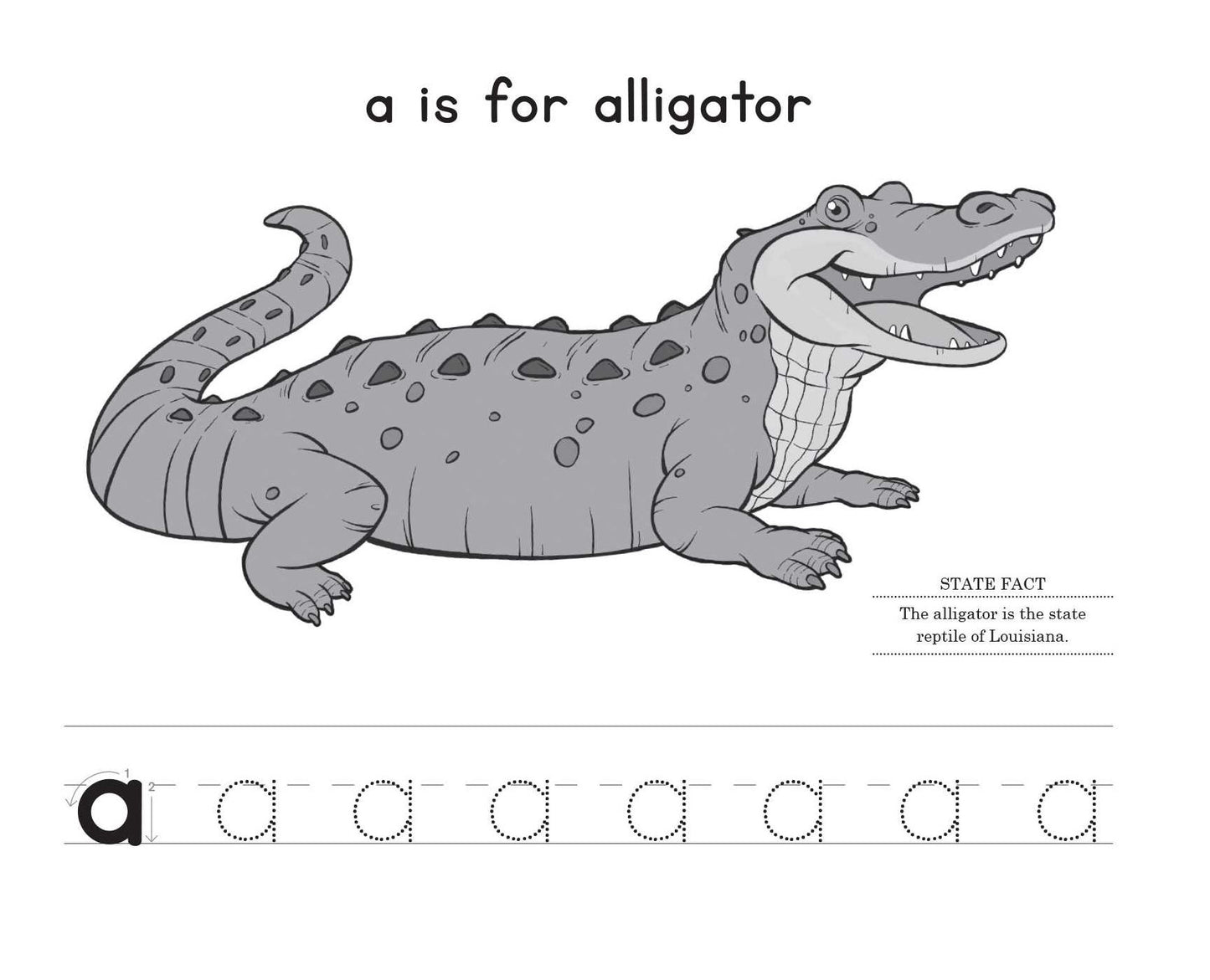 A is for America Letter Tracing: 50 States of Fun ABC Practice