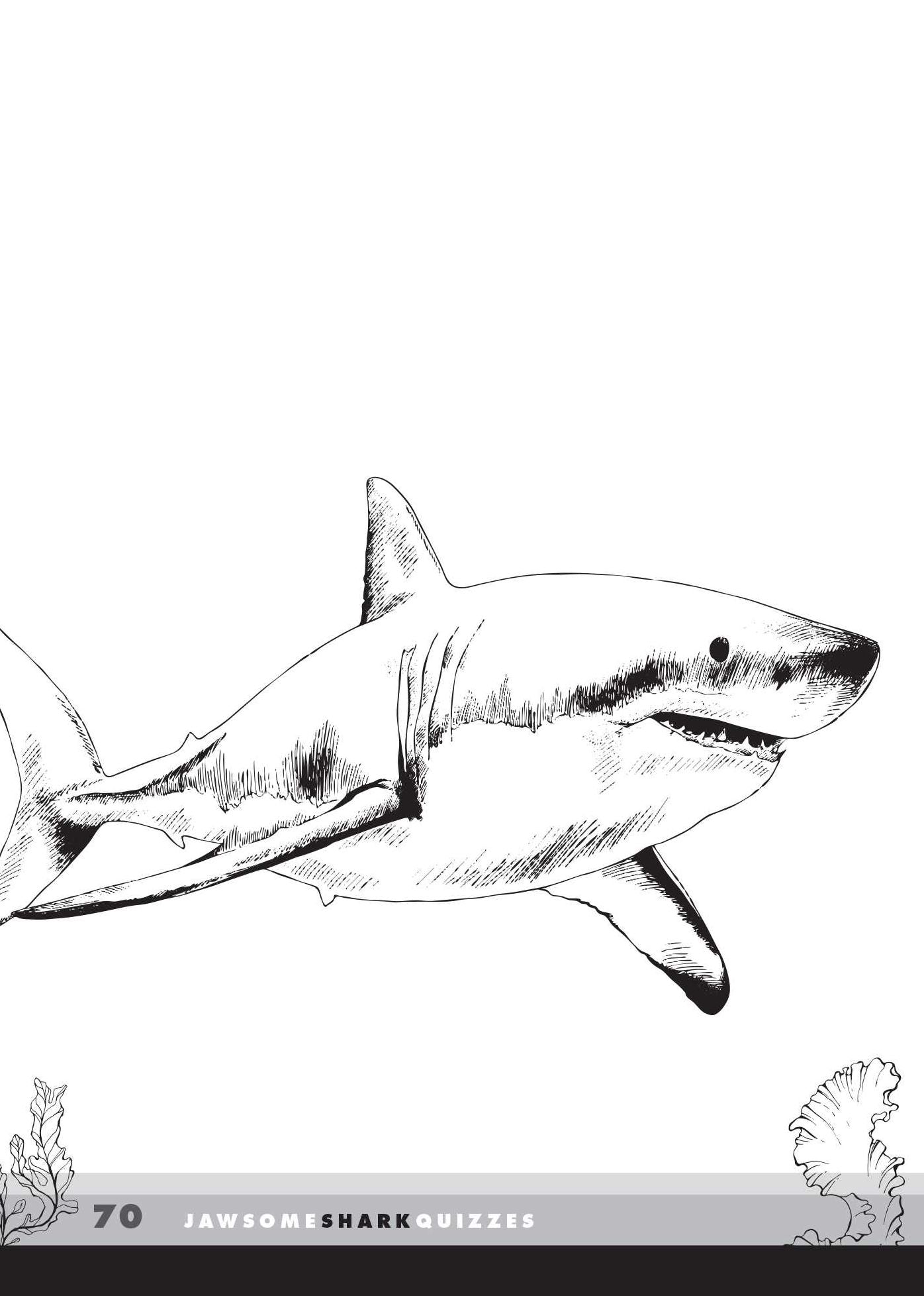 Jawsome Shark Quizzes: Test Your Knowledge of Shark Types, Behaviors, Attacks, Legends and Other Trivia