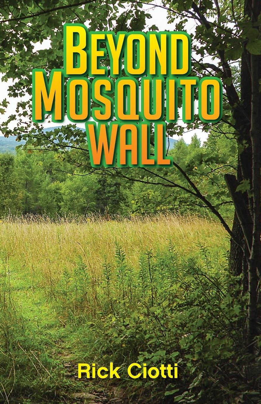 Beyond Mosquito Wall