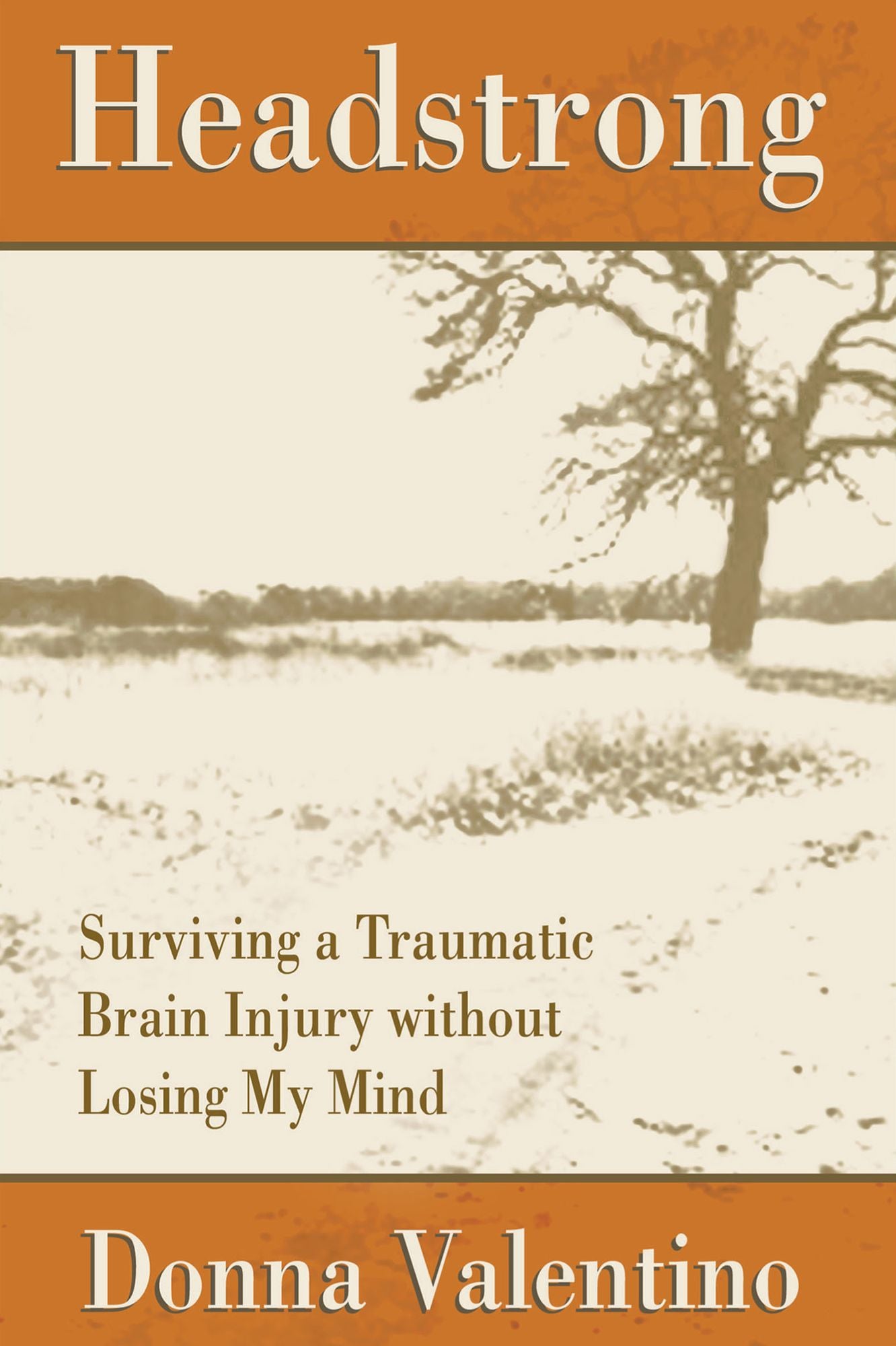 Headstrong: Surviving a Traumatic Brain Injury without Losing My Mind