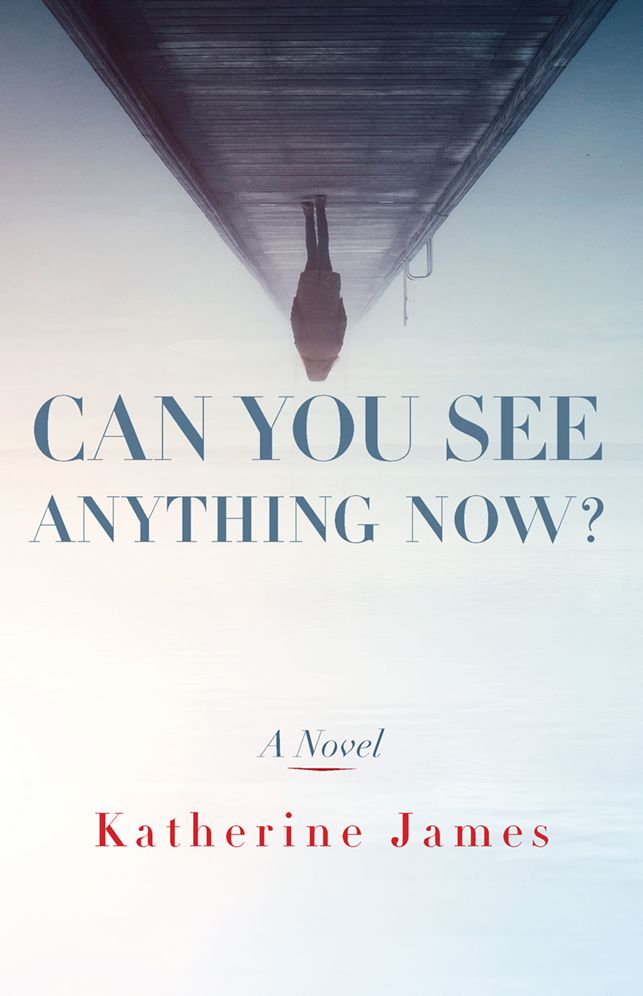Can You See Anything Now?: A Novel