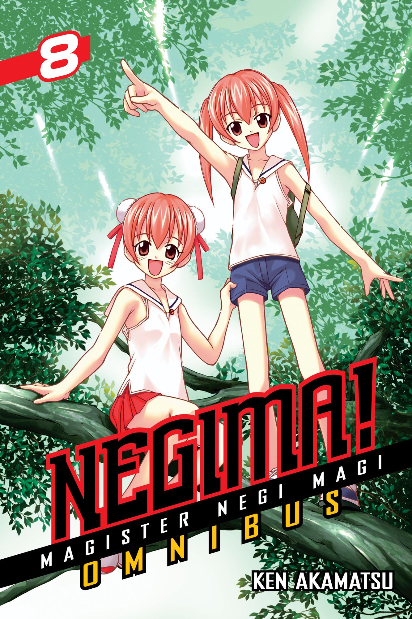 Negima! Omnibus: Volume 22,23,24