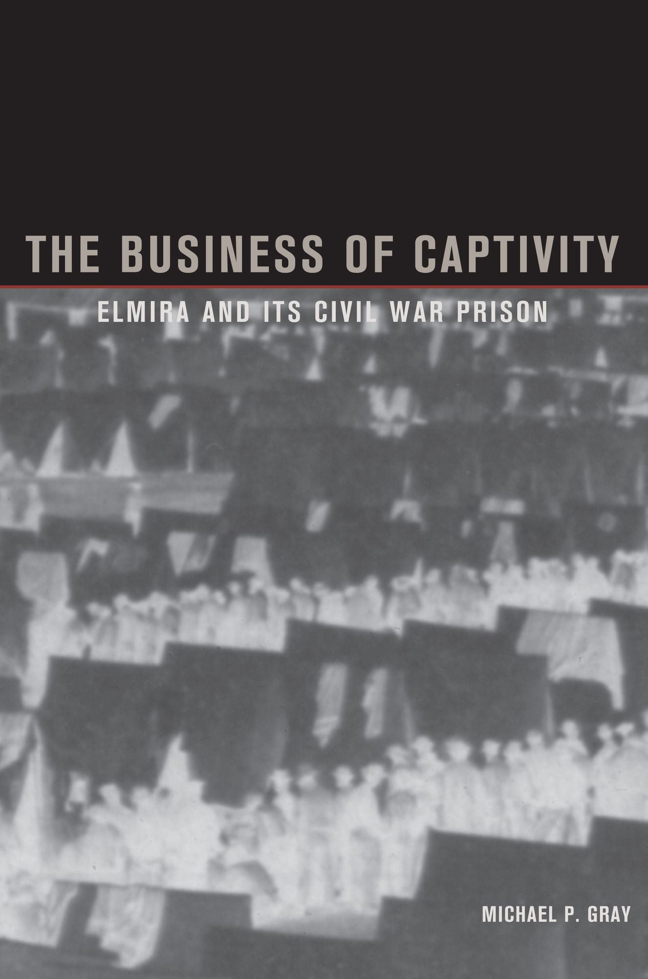 The Business of Captivity: Elmira and Its Civil War Prison